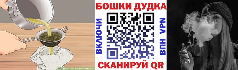 omg зеркало  Георгиевск  Canna-Cookies конопля 