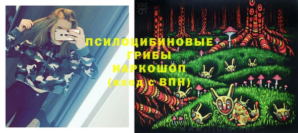стафф Вяземский