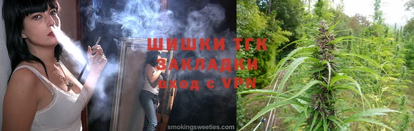 мдпв Вязьма