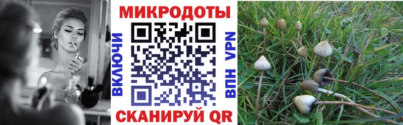 наркошоп Георгиевск Галлюциногенные грибы Cubensis